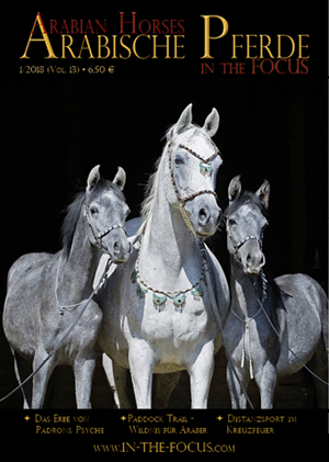 Arabische Pferde IN THE FOCUS 1/2018 (Vol. 13)