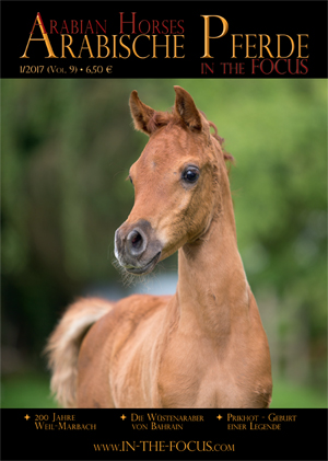 Arabische Pferde IN THE FOCUS 1/2017 (Vol. 9)