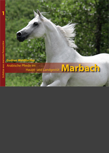 Arabische Pferde im Haupt- und Landgestüt MARBACH