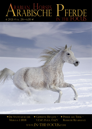 Arabische Pferde IN THE FOCUS 4/2021 (Vol. 28)