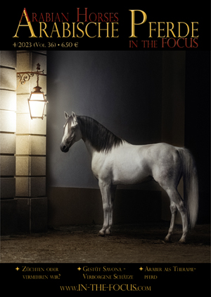 Arabische Pferde IN THE FOCUS 4/2023 (Vol. 36) - für Auslandskunden!